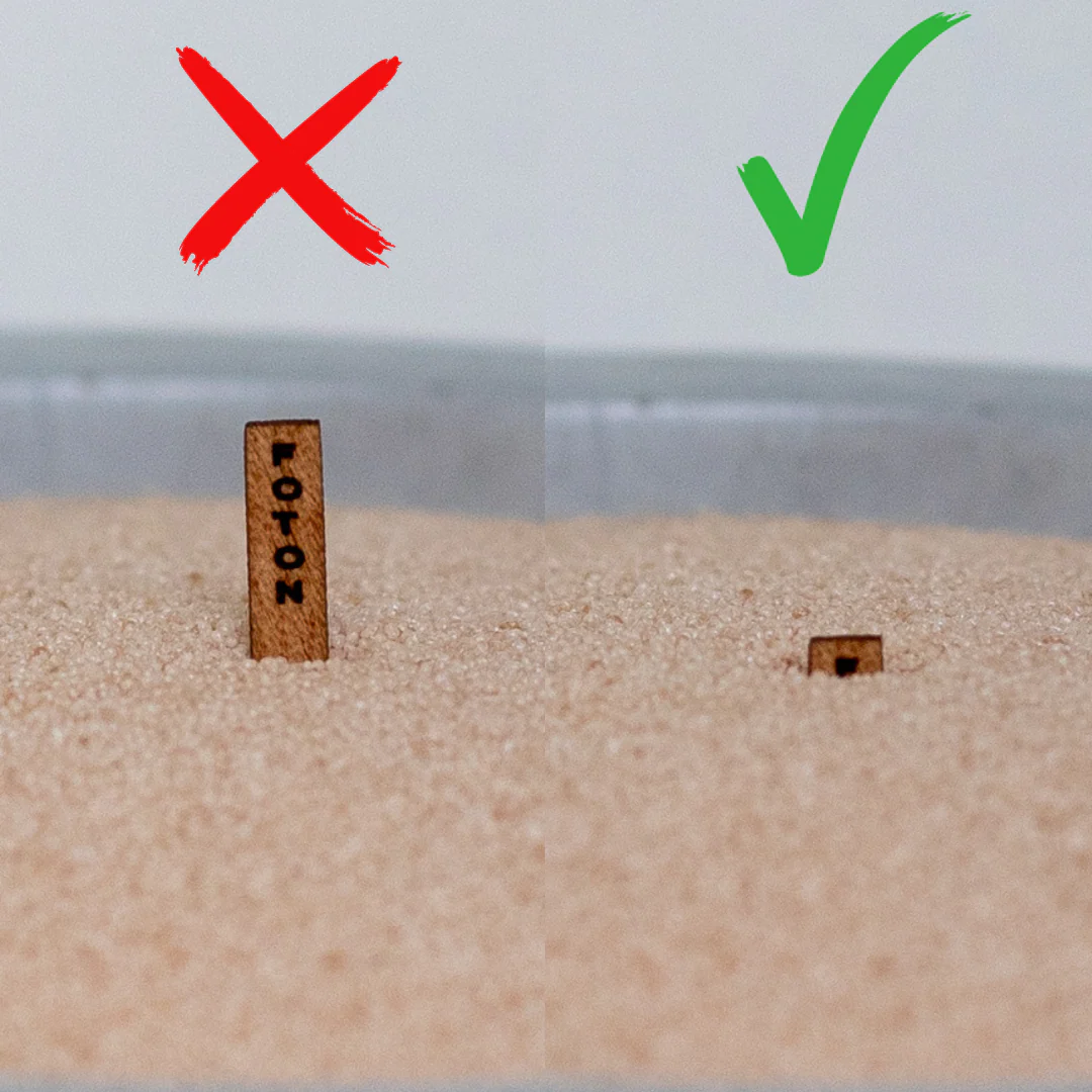Crackling Duo - Image 17